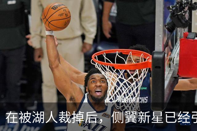 在被湖人裁掉后，侧翼新星已经引起了国王、森林狼和猛龙的关注？