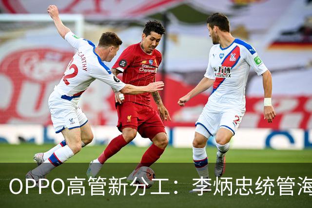 OPPO高管新分工：李炳忠统管海外市场 尹文广统管手机产品